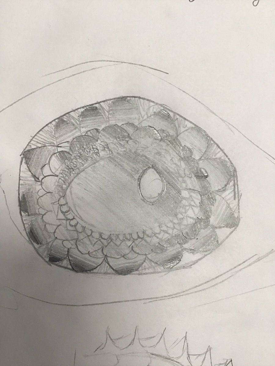 Y6 are going to create some clay Galapagos iguana eyes this half term. Currently we’re at the planning stage and they’re looking great! @walton_primary  @Cornerstonesedu #darwinsdelights