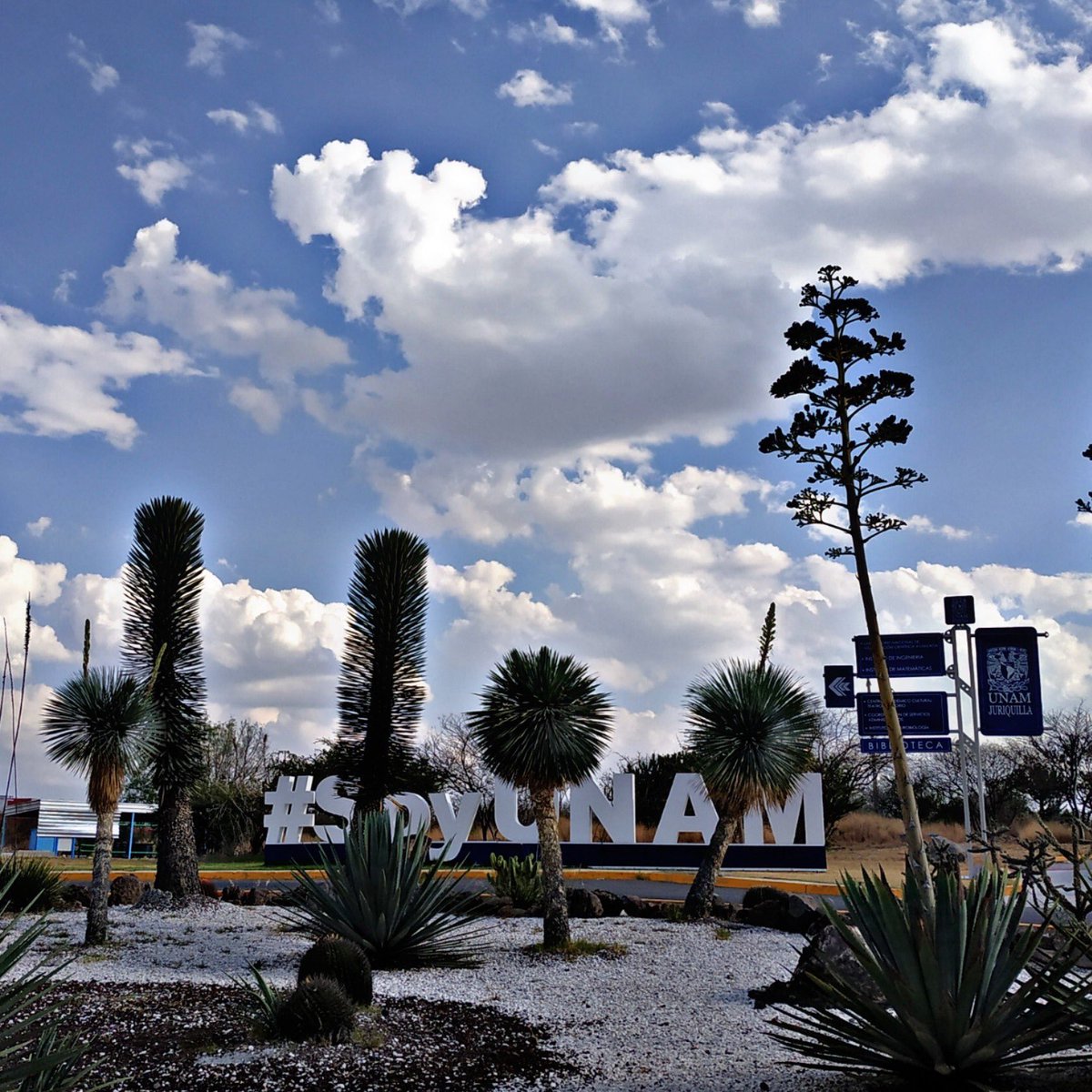 CAbrahamV's tweet photo. Un orgullo pertenecer aquí, a esta Máxima Casa de Estudios #UNAM donde, cuando está concluyendo una cosa, se va gestando una nueva; es cuando todo comienza, tus aspiraciones  académicas y profesionales. 😌@UNAM_MX @IBUNAM_MX 📚#KeepCalmAndDoScience 🧬 https://t.co/ti90v1UJD3