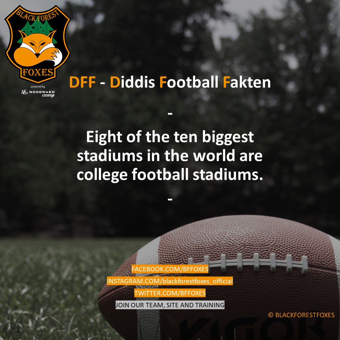 bffoxes's tweet photo. #foxes #blackforestfoxes #blackforest #woodward #lorange #football #americanfootball #dff #footballfacts #cheerleader #eaglesherrenberg #eaglescheerleader #nfl #gfl #cfl #rannfl  #rannflsuechtig #offense #defense #speacialteams #diddisfootballfacts #touchdown #oneteam #onefamily https://t.co/6voGQu0jIH
