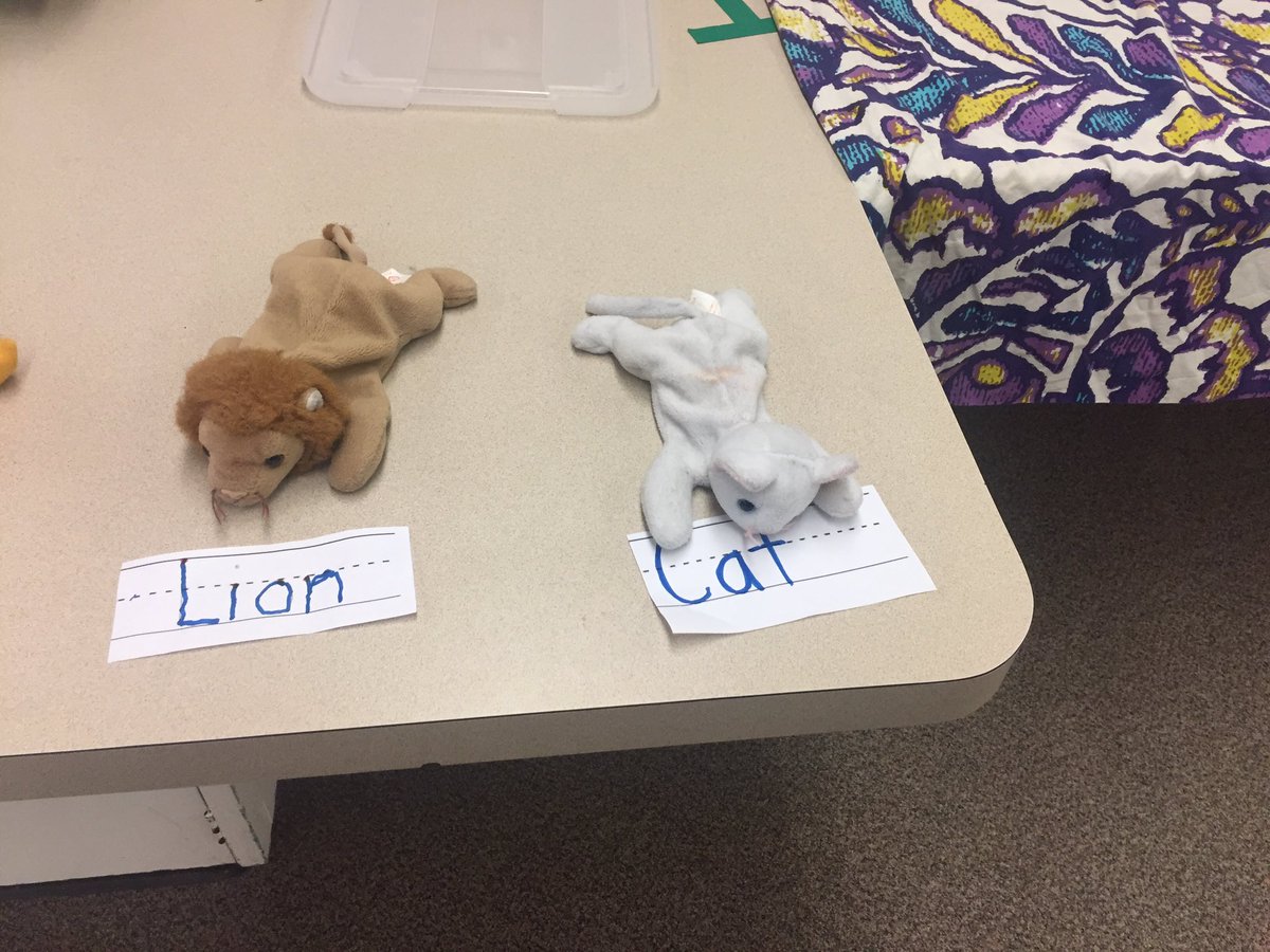 Jeffco Summer Of Learning tweet media