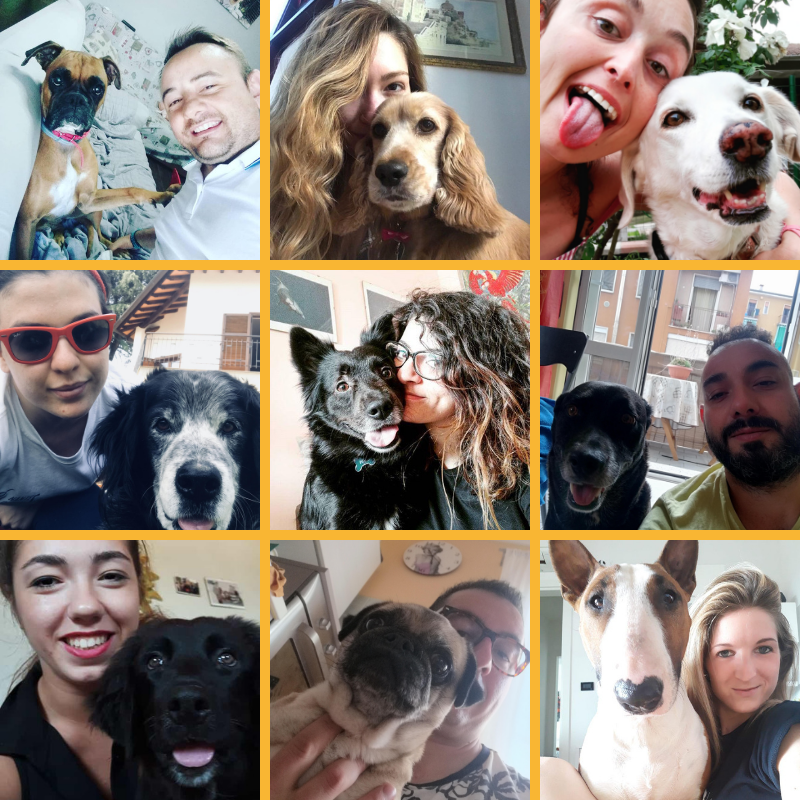 Selfie time con #pedrigree #selfiestix! Tutti perfettamente in posa 🐶😂 #insiderselfiestix #selfiestixchallenge