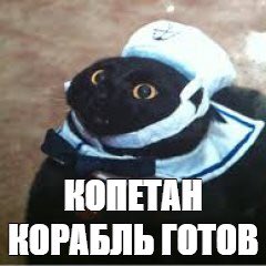 Это точно картинки прикольные. Так точно картинки смешные. Военная лексика примеры. Мем фуууууу. Будет сделано.