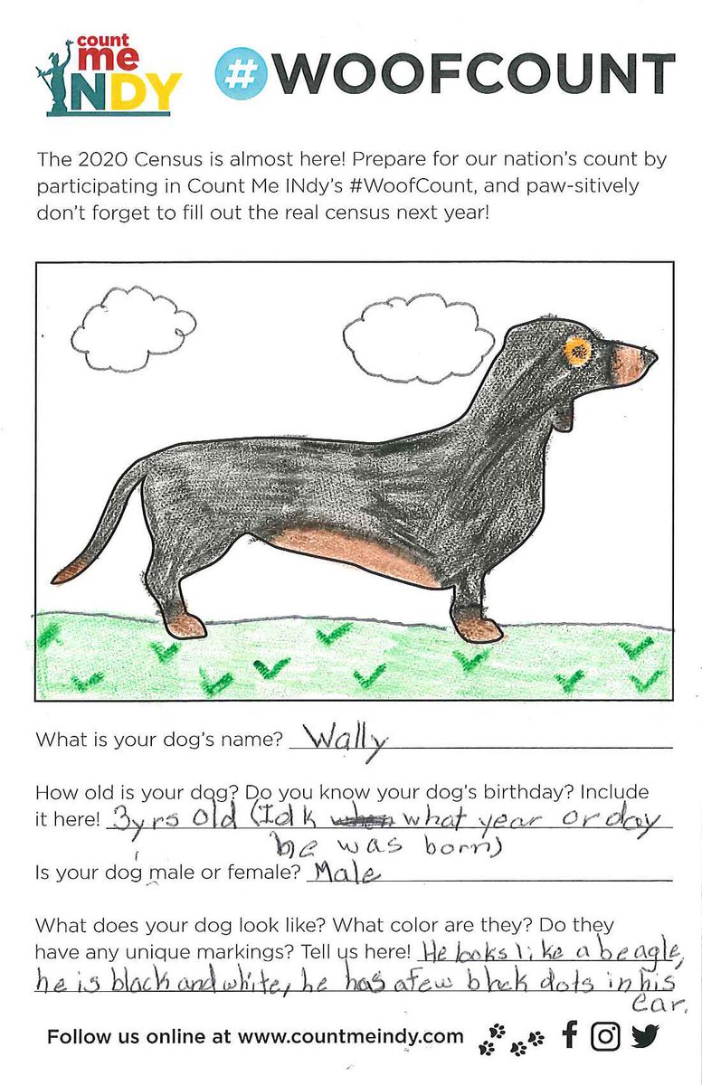 CountMeINdy's tweet photo. We had loads of fun educating folks about the kinds of questions to expect on the #2020Census through our #WoofCount ๐ถ this past weekend.
Remember: The personal data you submit to the fur-real @uscensusbureau is #confidential. ๐ Learn more: https://t.co/bTpQ45c8bm. https://t.co/NME8Oz7WIX