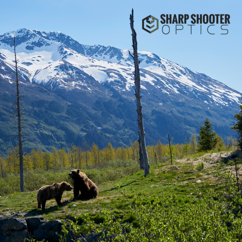 OpticsSharp's tweet photo. Now is the time to get the #Optics you need for #huntingseason. 
https://t.co/DON7lhOdK3

#shopforthehunt https://t.co/sWgsh3af2P