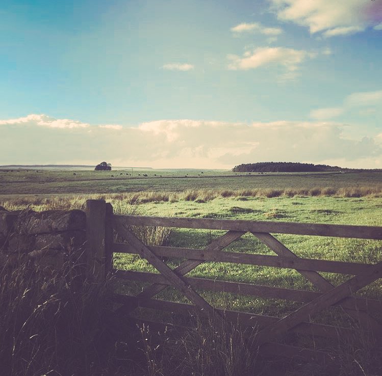 Summer sky #farmstay #access4all