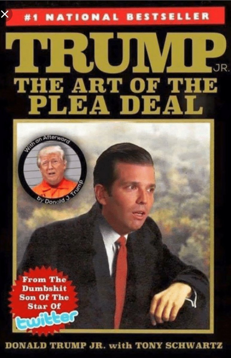 stabros68's tweet photo. @DonaldJTrumpJr Bidens speech today is flat truth. Your unconventional dumb as a #Stump dad is gonna get flattened. #LetsMakeAmericaAmericaAgain and ditch the #TrumpTards #StumpyTrump pay your bar tab JR https://t.co/ICWP4y93Zm