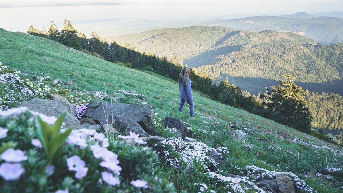 Temps are rising and sunshine is creeping into the five-day forecast. There is no better time to hit the hiking trails. #visitwillamettevalley