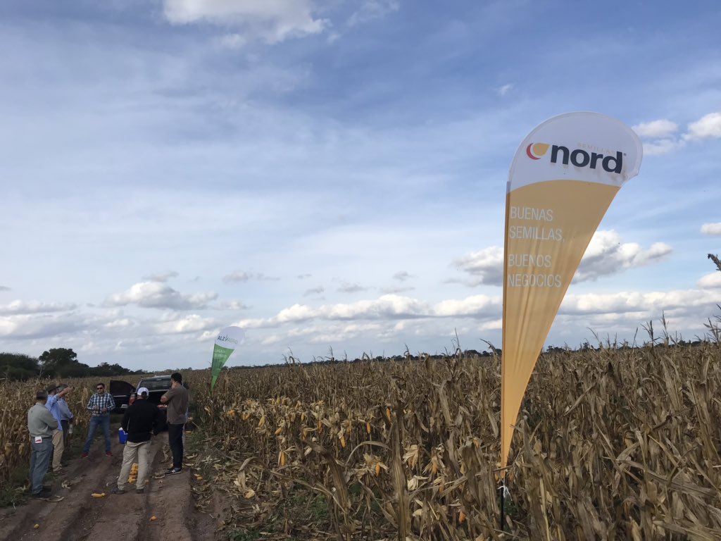 CSN_agro's tweet photo. Visitando ensayos de 🌽 NORD en Las Lajitas junto a @ALZ_Agro @Indigoag #maiz #economiasregionales #microbioma #evoluciontecnologia https://t.co/6iyIn0MlFc