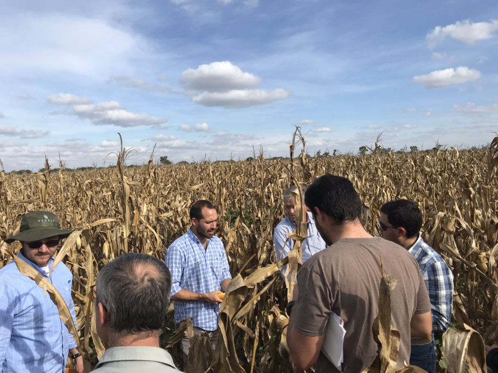 CSN_agro's tweet photo. Visitando ensayos de 🌽 NORD en Las Lajitas junto a @ALZ_Agro @Indigoag #maiz #economiasregionales #microbioma #evoluciontecnologia https://t.co/6iyIn0MlFc