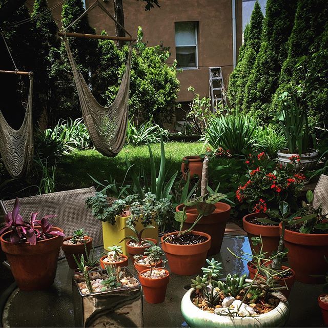 billy_merrell's tweet photo. Watering day!
✨💦🌿
(Happy birthday, @igeoff, ultimate #plantnerd) https://t.co/fU9ONP567x https://t.co/UBZvqq0nAq