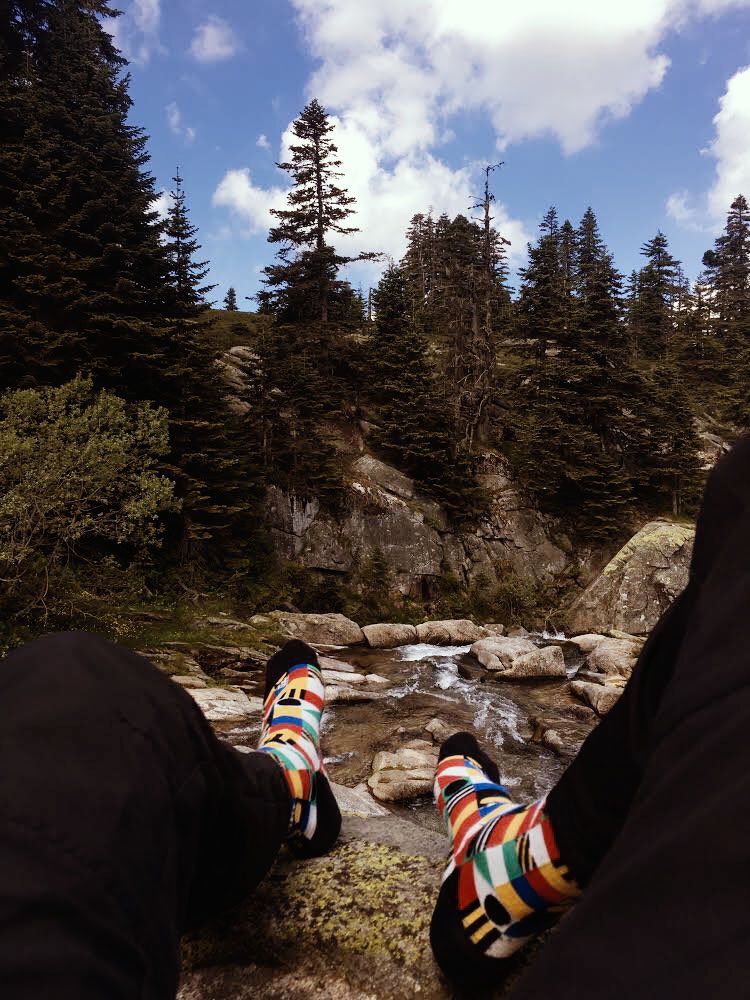 OneTwoSock's tweet photo. To all inspired by the colors of nature 🌿 #OneTwoSock #Dama #nature #colorful #socks https://t.co/UB6HiHuaHb