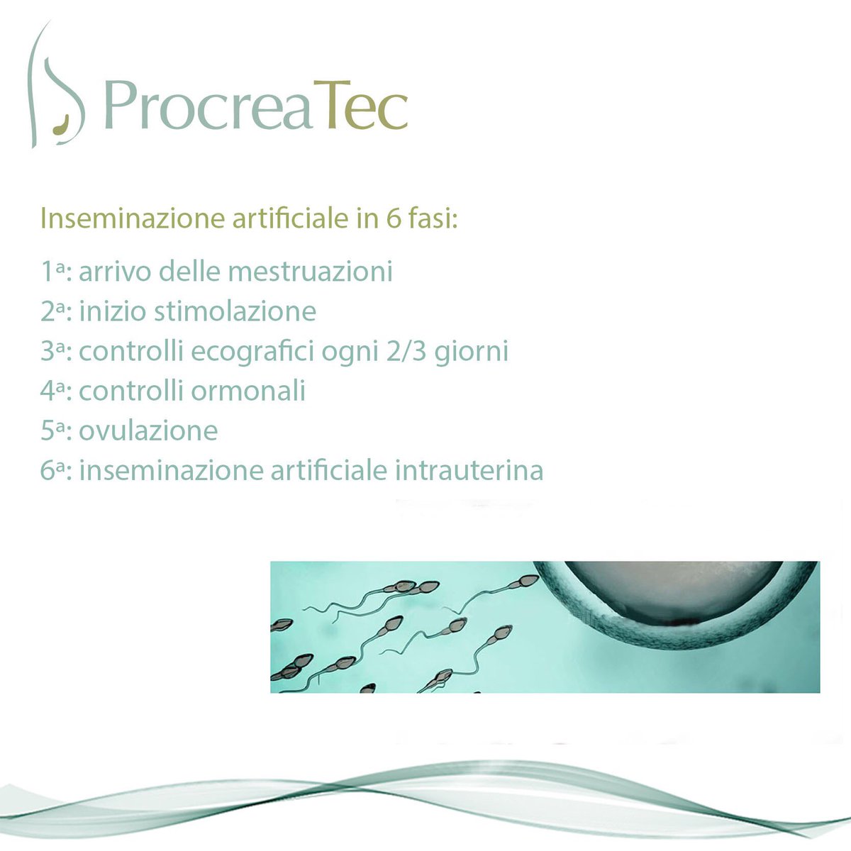 arl_angela's tweet image. Inseminazione artificiale in sei fasi presso la ProcreaTec... #procreaTec #pma #trattamentoallestero #madrid