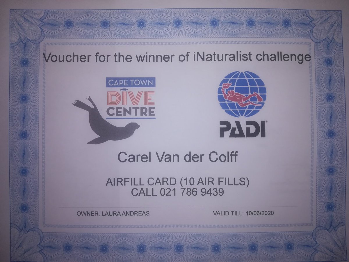 #inaturalist #citychallenge and I were able to get a price for top marine contribution. Thx Cape Town dive centre and <a href="/learn2divetoday/">Learn to Dive Today</a>  for the prices. <a href="/CityofCT/">City of Cape Town</a> for the event with <a href="/SANBI_FBIP/">FBIP</a>