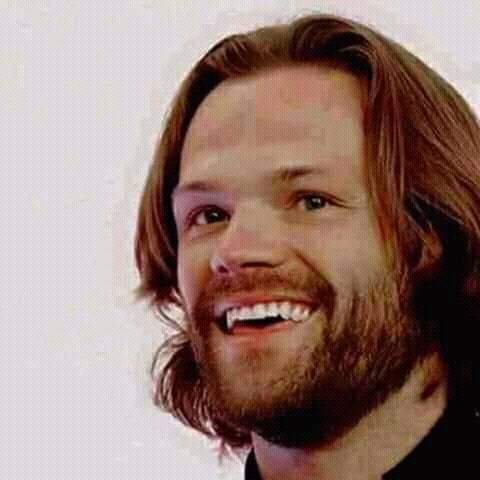Florentina0988's tweet photo. Good evening my dear #SPNFamily 😘😘Hope you had a wonderful day and a happy #J2sDay. Wish you a lovely and restful night to all of you. I love you all 😘😘😘📹Credit to the owner @ile92390446 @liataghva @samjared @KathyPe19474092 @MariaGronowski @Zboureghda @GRITSSPNFAM1 @4uEly https://t.co/tLlNo5Mn9C
