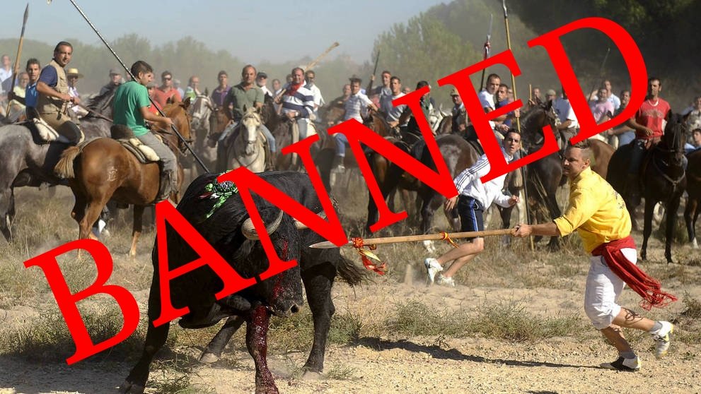 The Supreme Court Of Spain Has Banned The Bull Torture 'Festival' 
Toro De La Vega FOREVER!! 👏👏

More at epblog.auxx.me/supreme-court-… @RickyGervais