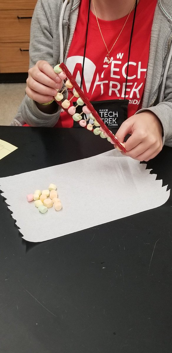 wmjackson's tweet photo. Make learning fun and relevant. You can teach anything. Twizzlers and Marshmallows
@StetsonU
DNA with AAUW Tech Trek of Florida.
#STEAM #STEM #myquesttoteach
#professionaldevelopment
#buildingpln #buildingplc
#techtrek https://t.co/j5YFM7ZxTX