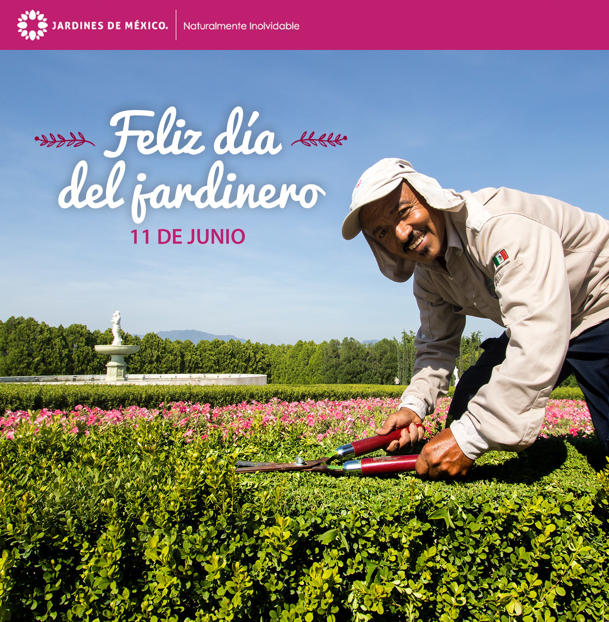 Total 89+ imagen frases jardinero Abzlocal.mx