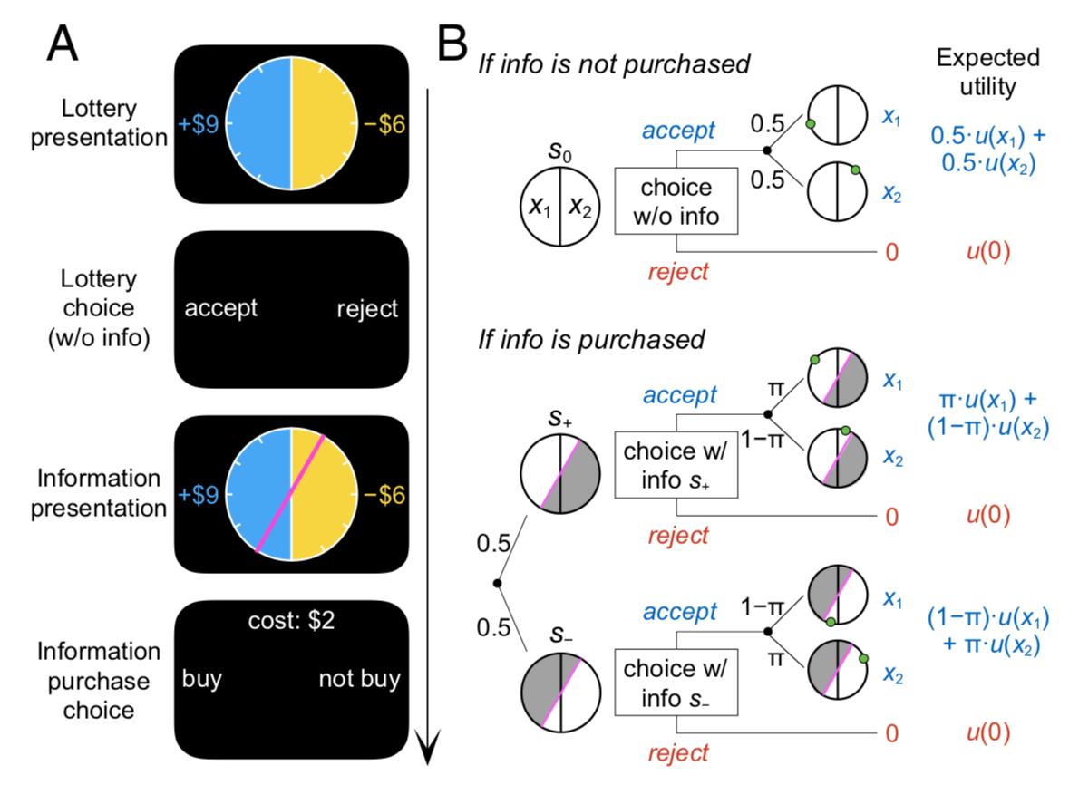 New study with former student Kenji Kobayashi (now at Kable lab) showing existence of common neural code for reward and information value. pnas.org/content/early/… @PNASNews