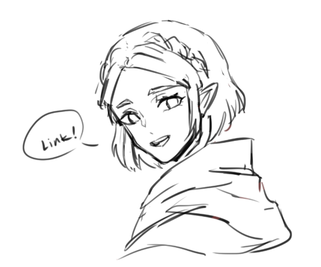HEY LINK! 