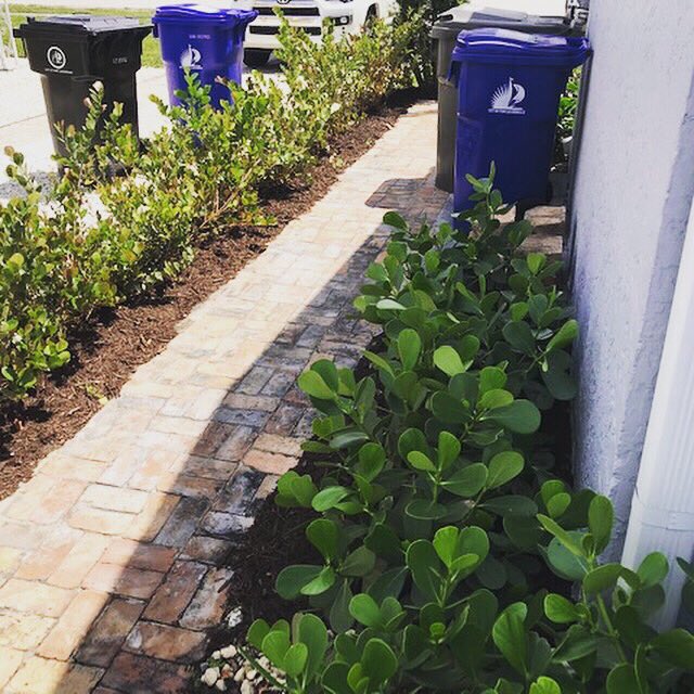 GCSdevelopGroup's tweet photo. Mulch Different Colors 😊
#redmulch#brownmulch#darkmulch
https://t.co/hsQhRSvbta
info@gcsdevelopmentgroup.com
954-240-0589 https://t.co/oMfHfg4fJr