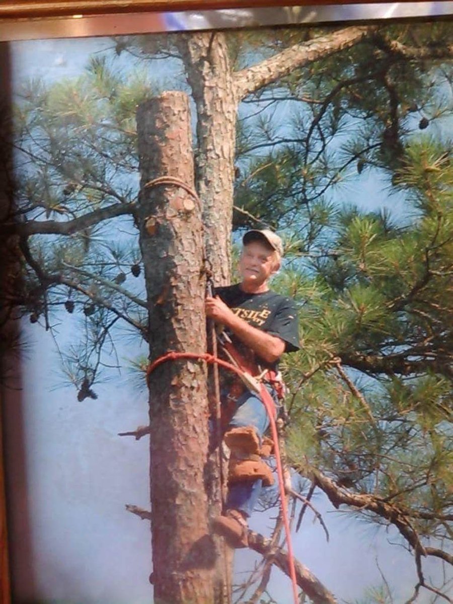 BrothersTree's tweet image. With a wide range of services that suit your every need and requirement, we have the know-how and expertise to get done what you need to be done. #ShrubServices #ShrubRemoval #ShrubPruning #Johnsonville29555 bit.ly/2GiKhHD