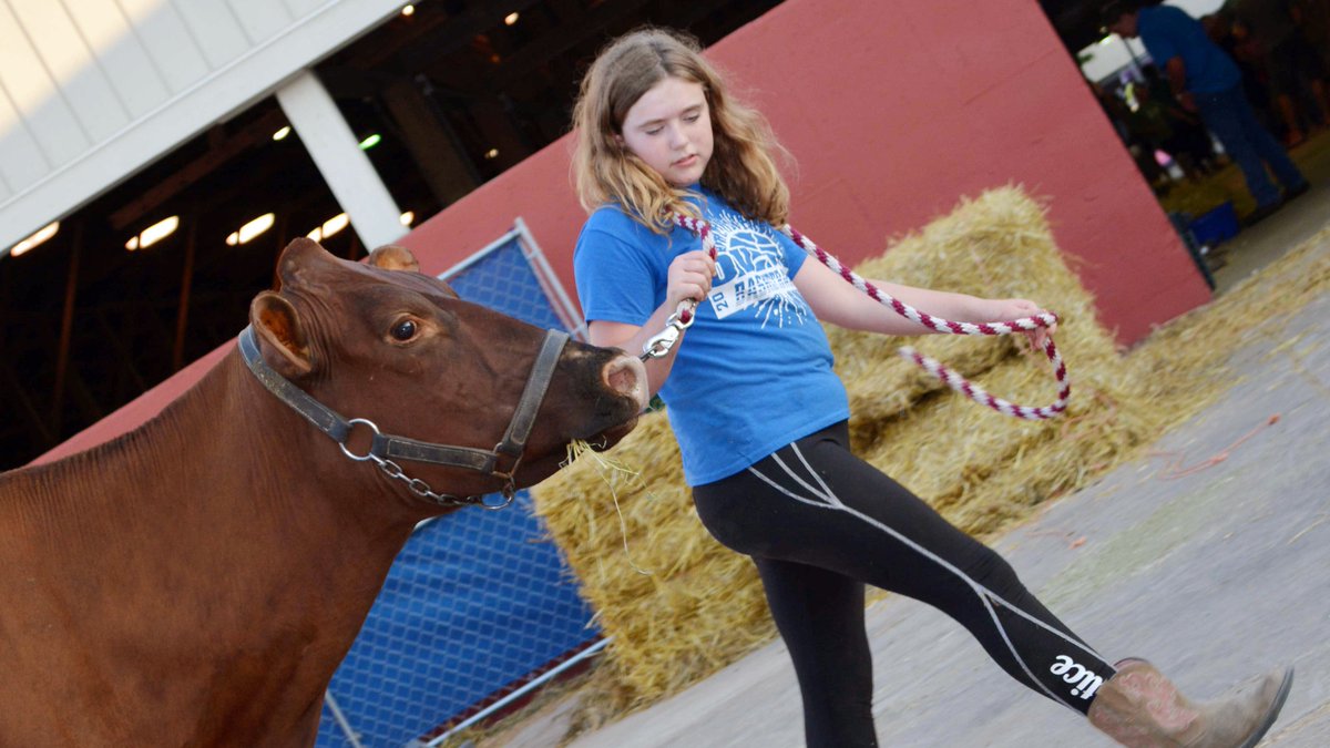 wistatefair's tweet photo. Only 50 DAYS until the 2019 Wisconsin State Fair! FOLLOW US on Instagram (@wistatefair) as we count down to the best 11 days of summer! #WIStateFair https://t.co/ZxmZBnsoje
