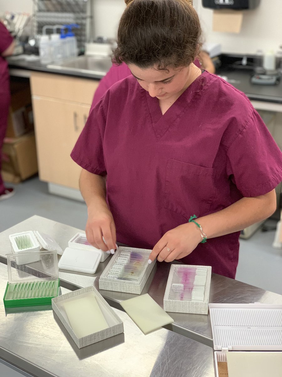 ms_tweating's tweet photo. Small Animal Science learns how to properly use light microscope with some great ore-made slides in preparation for identifying parasite in fecal samples tomorrow ! #animalscience #vetmed #BApride https://t.co/GBVy9f7o0R