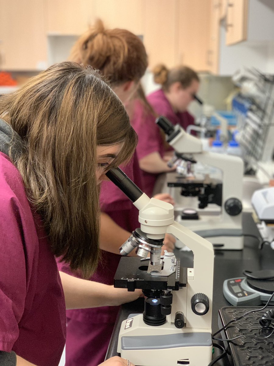 ms_tweating's tweet photo. Small Animal Science learns how to properly use light microscope with some great ore-made slides in preparation for identifying parasite in fecal samples tomorrow ! #animalscience #vetmed #BApride https://t.co/GBVy9f7o0R