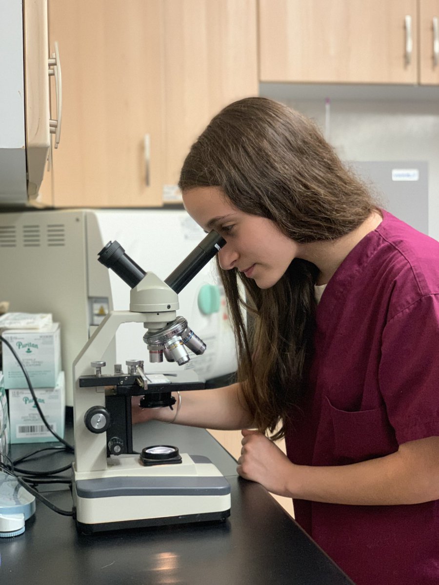 ms_tweating's tweet photo. Small Animal Science learns how to properly use light microscope with some great ore-made slides in preparation for identifying parasite in fecal samples tomorrow ! #animalscience #vetmed #BApride https://t.co/GBVy9f7o0R