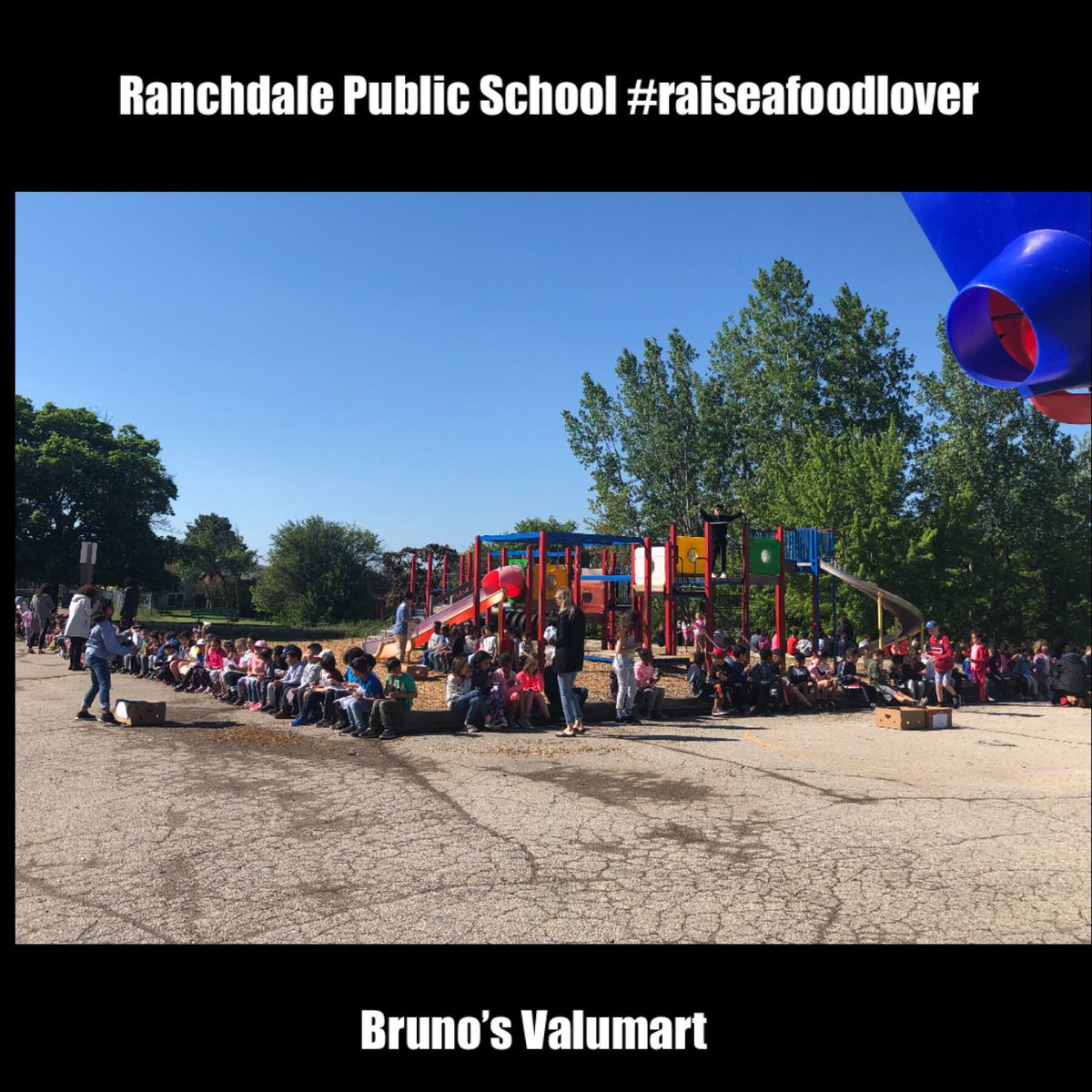 brunosYIG's tweet photo. Today we had the pleasure of serving breakfast to the students and staff at Ranchdale Public School. A great time was had by all.  #raiseafoodlover #brunosvalumart  @TDSB_Ranchdale https://t.co/JOmjuRuVNT