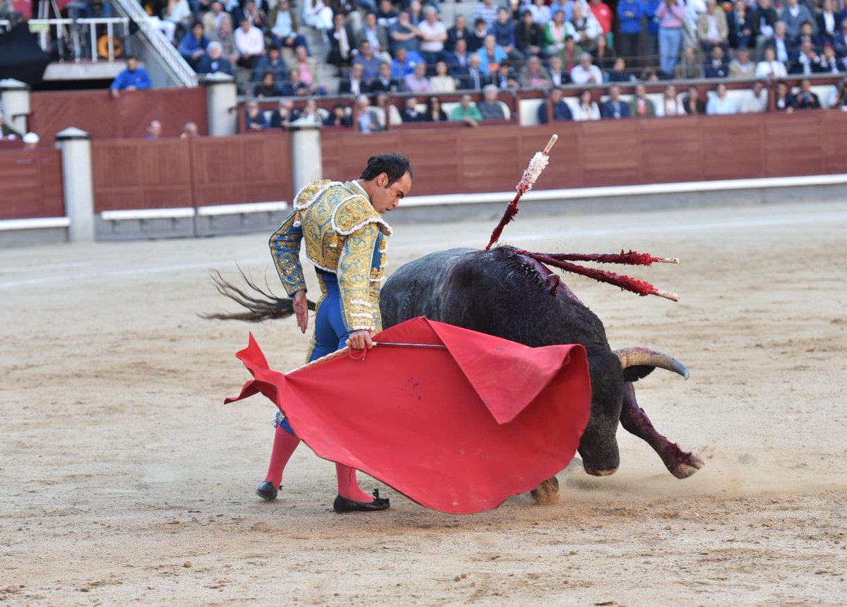 cultorocom's tweet photo. DECLARACIONES- Cristian Escribano, sobre el tercero: “Yo he visto que el toro que no ha sido para tanto” https://t.co/UwvXhGf8qG https://t.co/zY6oRfibJo