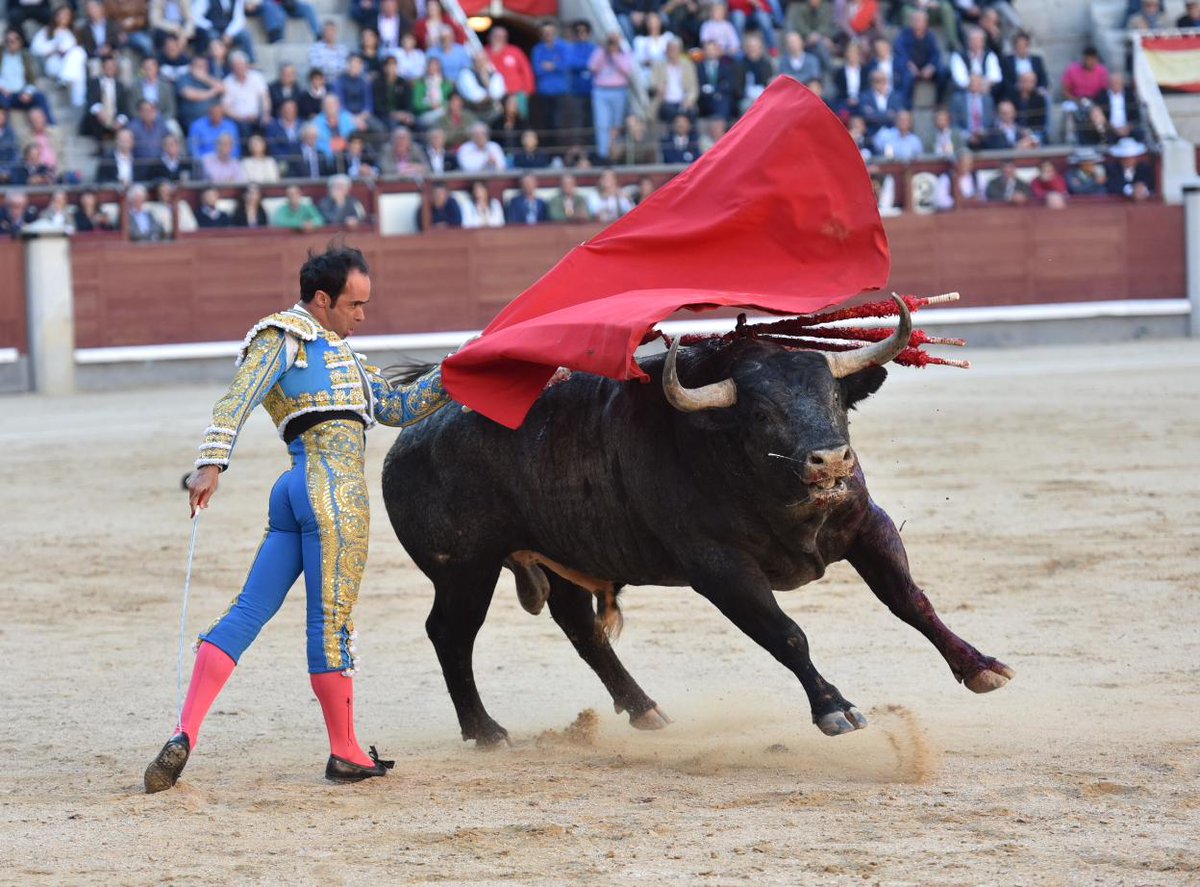 cultorocom's tweet photo. DECLARACIONES- Cristian Escribano, sobre el tercero: “Yo he visto que el toro que no ha sido para tanto” https://t.co/UwvXhGf8qG https://t.co/zY6oRfibJo