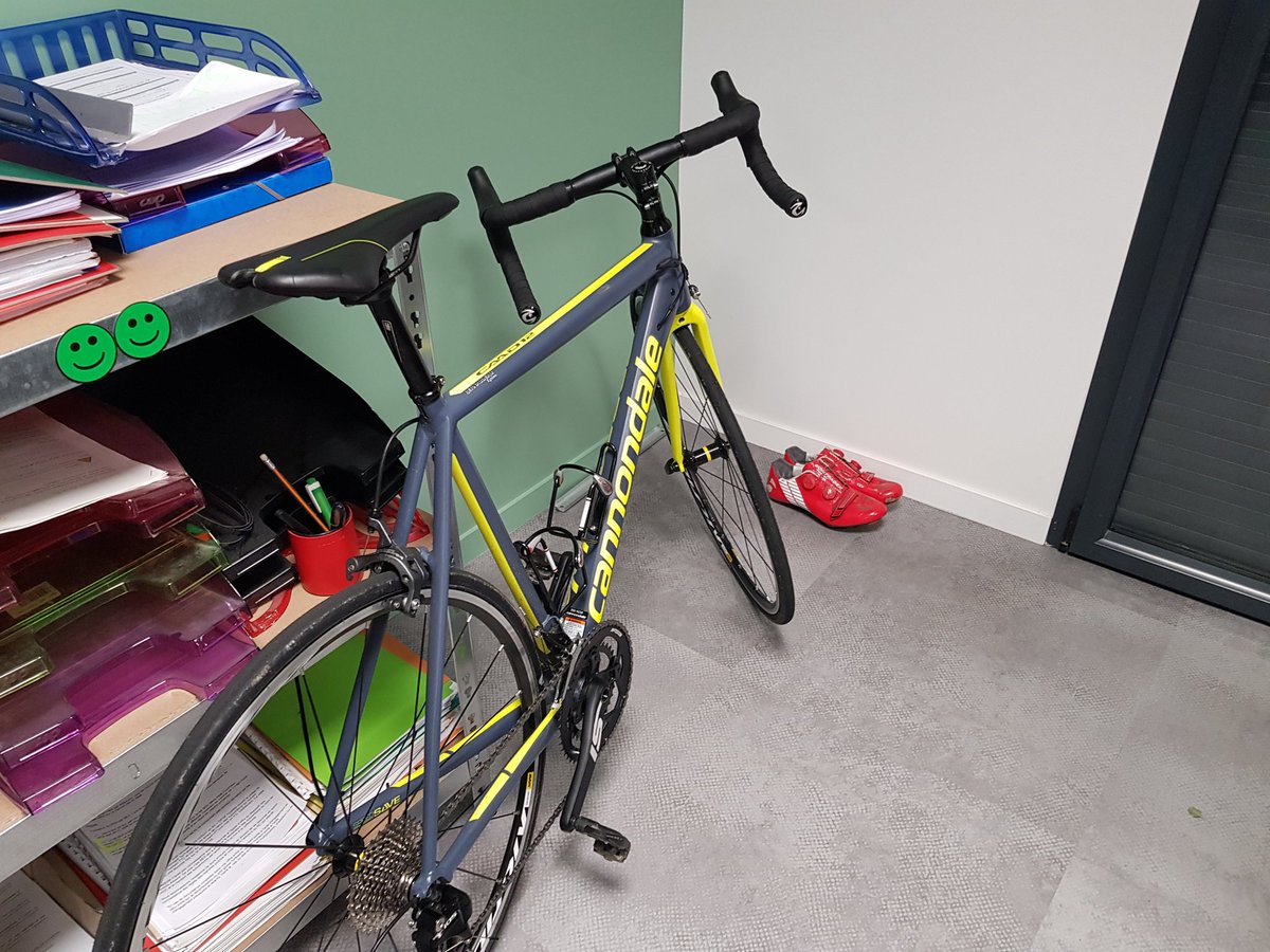 SOG SOLAR tweet media