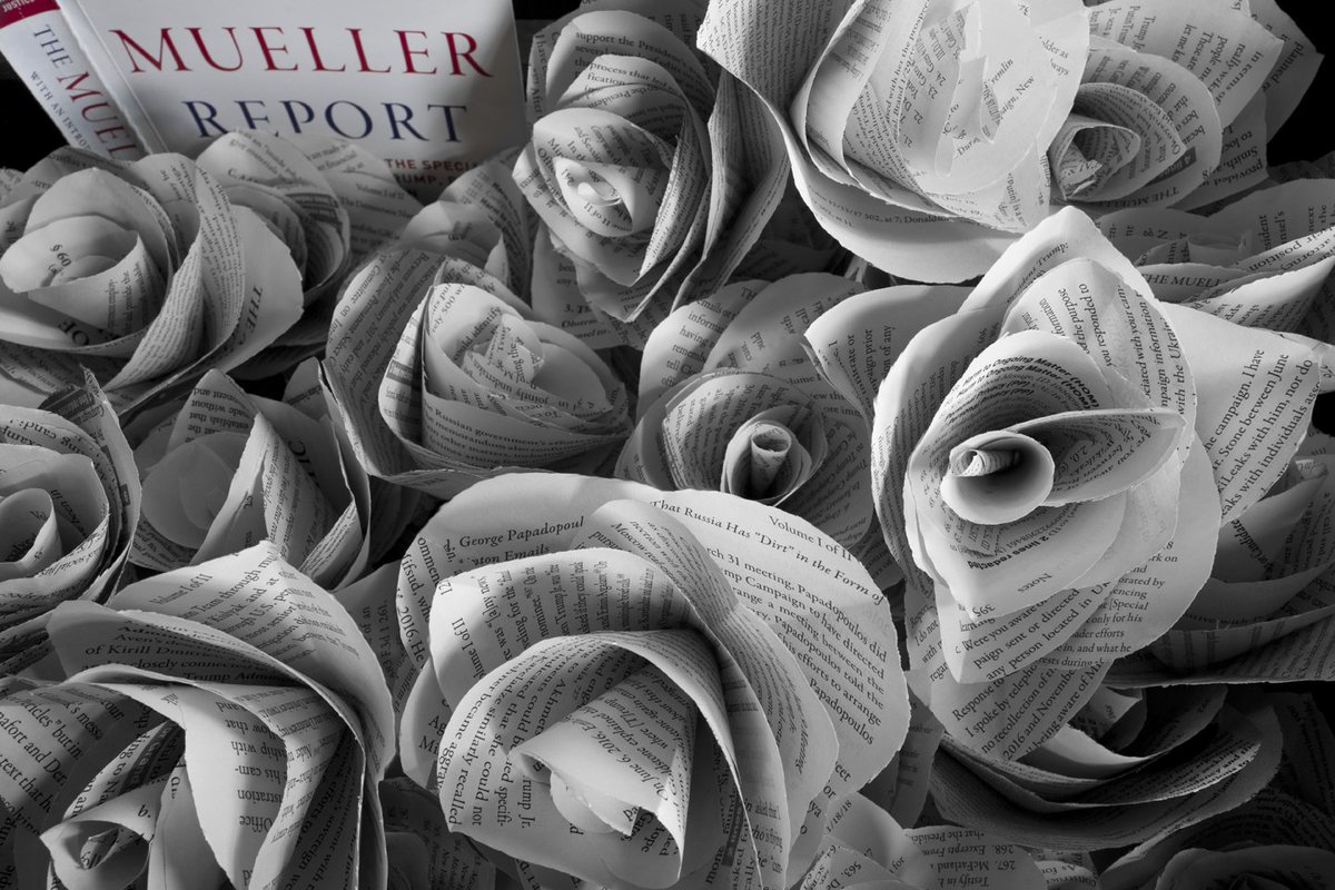 Wrather86's tweet image. THE MUELLER ROPORT
READ IT