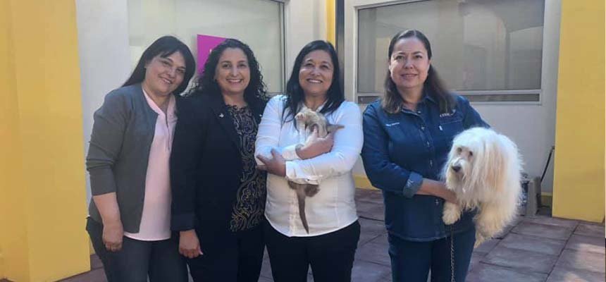 DÍA DE LOS ANIMALES CON CEIAC bit.ly/31pZhgz