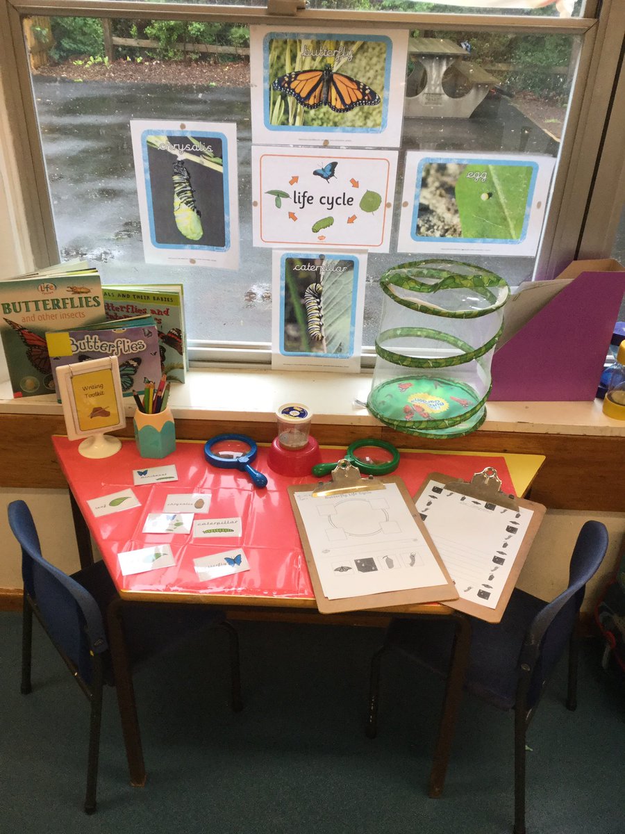Heronswood_Sch's tweet image. Our caterpillars have arrived! Each Reception class has an investigation station set up where we can observe the caterpillars, read about them and write about them. We’re excited to watch them grow and change. 🐛🦋#EYFS #eyfsinvestigation
