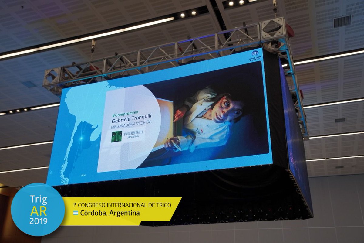 Precongreso TrigAR tweet media
