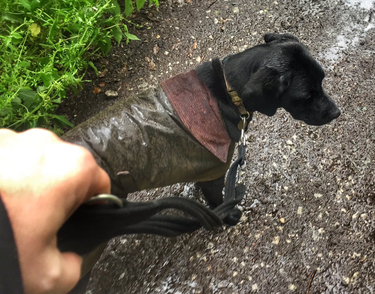 barbour dog wax jacket