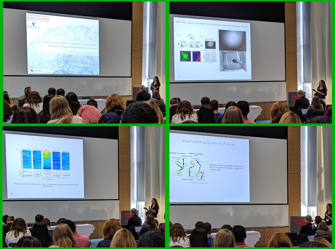 Inscopix's tweet image. Great presentation from @martinowk on vHC-PL #neuralcircuit and molecular dissection of contextual fear! @LieberInstitute