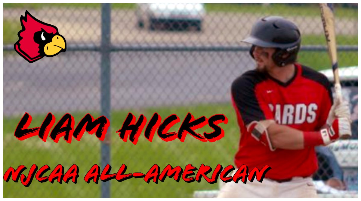 🚨 BREAKING NEWS 🚨

Sophomore Catcher Liam Hicks has been named Mineral Area Baseball’s 1st ever <a href="/NJCAABaseball/">NJCAA Baseball</a> All-American! 

Congratulations on an outstanding Mineral Area career Liam! #GoMACcards