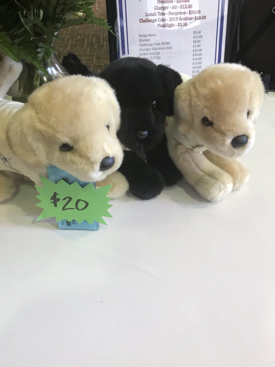 NCMSNational's tweet photo. The NCMS store is almost sold out of America’s VetDogs Plush Puppies. Get yours before they are sold out! #ncms2019 https://t.co/XsyIxWcXIp