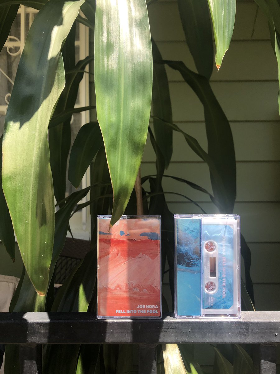 joe nora tweet media