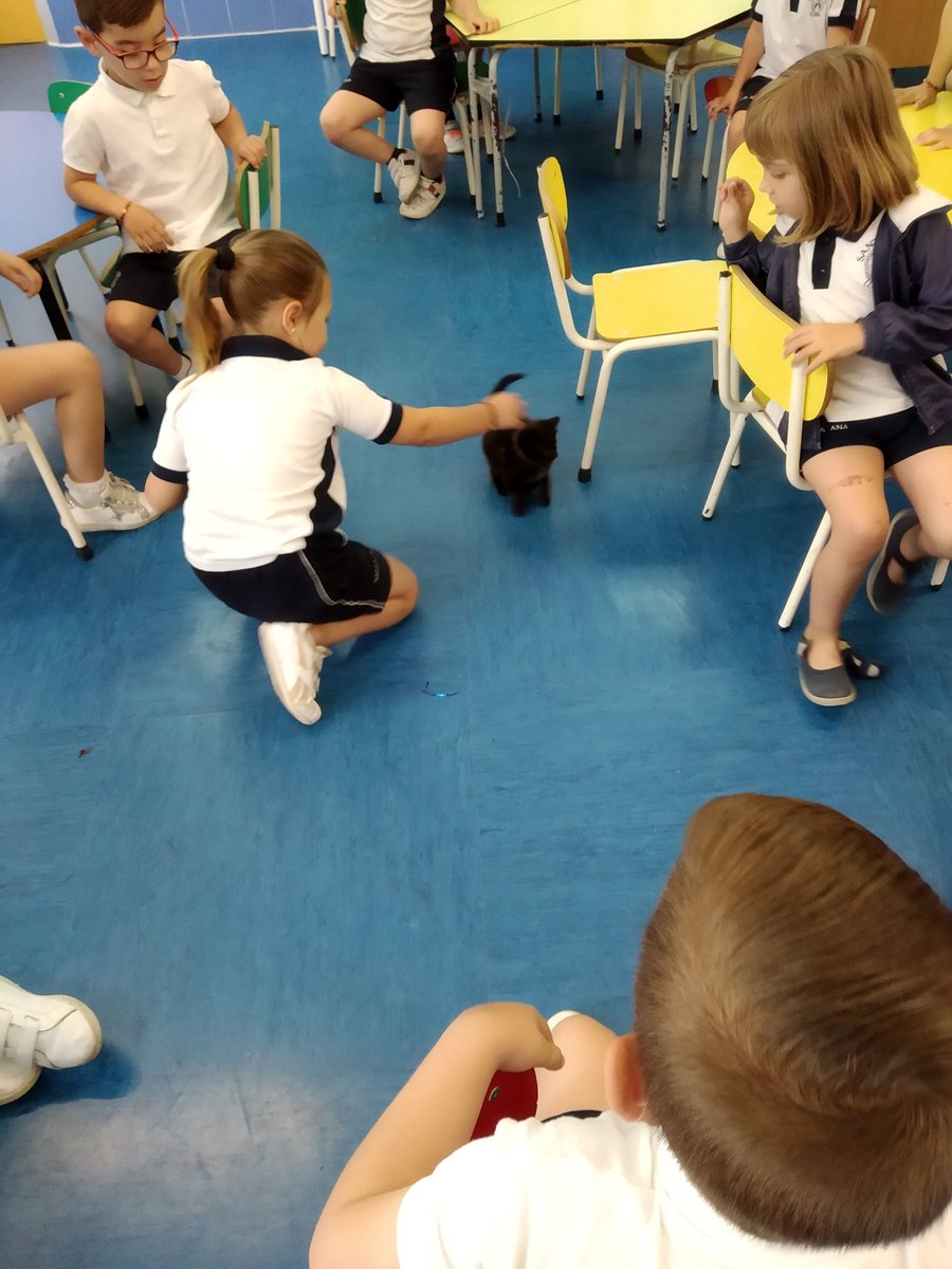 csabea1's tweet image. ¡Hoy hemos tenido una visita que nos ha encantado! &amp;lt;3