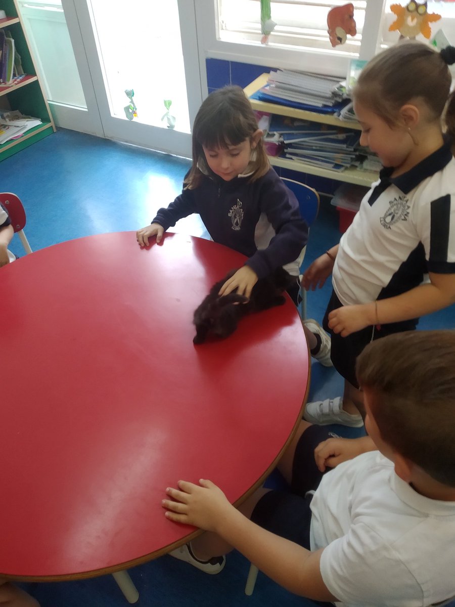 csabea1's tweet image. ¡Hoy hemos tenido una visita que nos ha encantado! &amp;lt;3