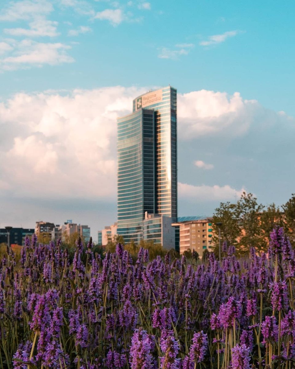 Milano a colori 🌺🌸💮

📸 @milanstagram (instagram.com/milanstagramcom)