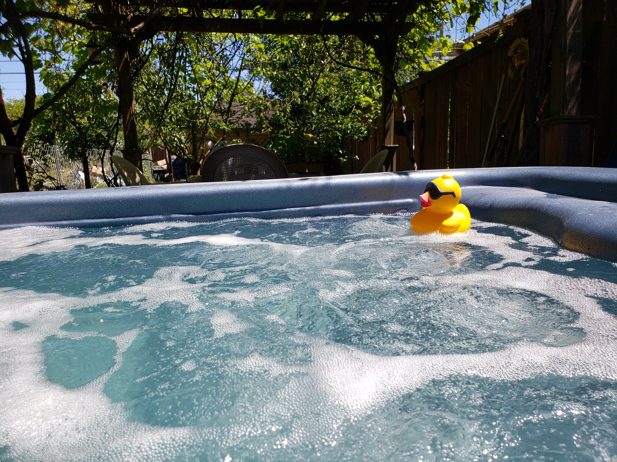 Wild Celtic Rose on Twitter "A friend helped me move the hot tub so