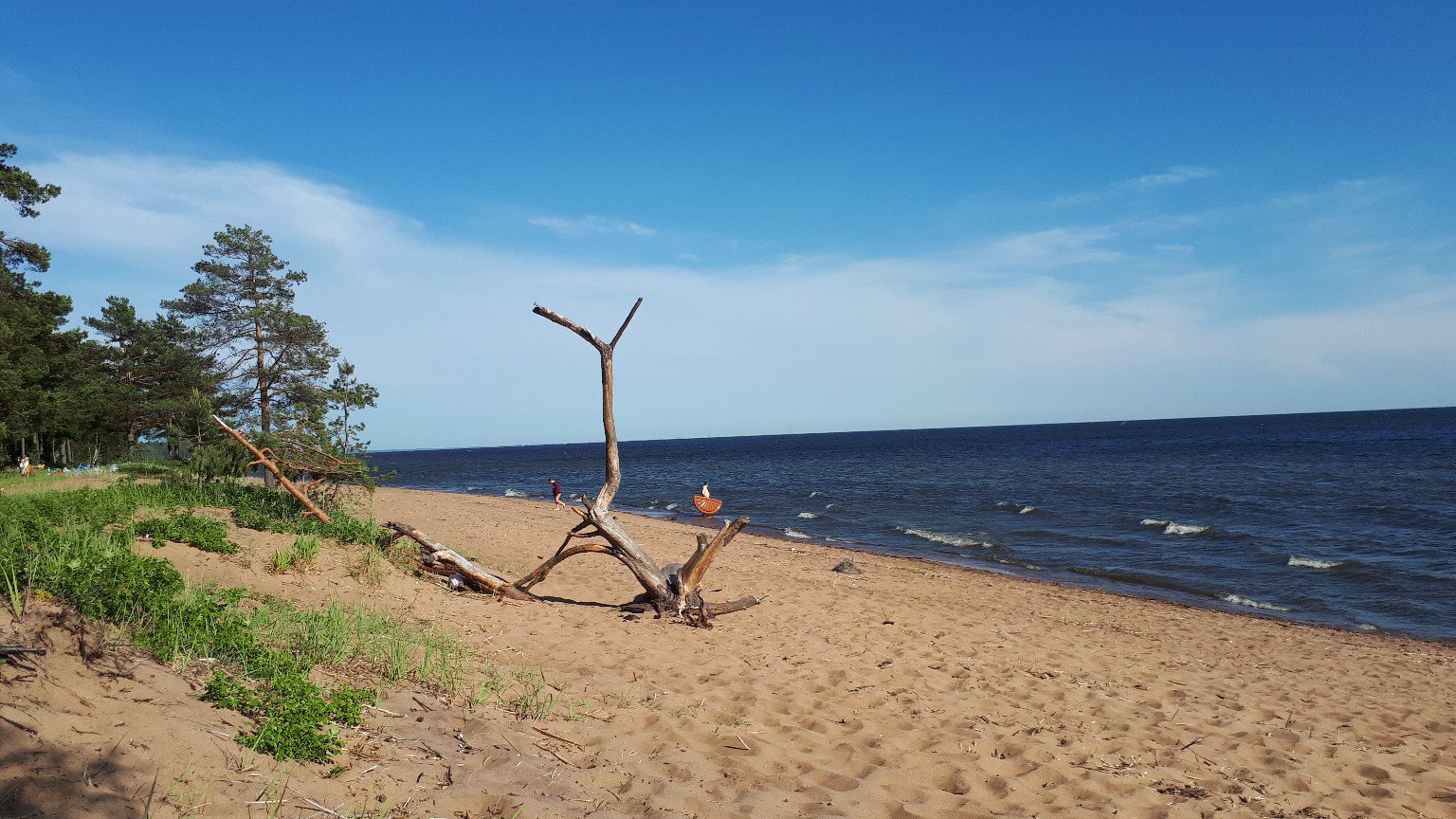 Зеленогорск (золотой пляж) Пешком по СПб Дзен