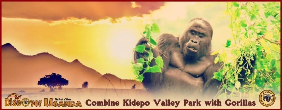 Combine the Best of Uganda-Gorilla Trekking with remote Kidepo Valley Park kabiza.com/kabiza-wildern…