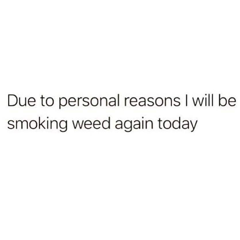 RxLeafMD's tweet photo. #sorrynotsorry #weedlife #weed #weedmemes #cannabis #medicalcannabis #rxleaf #rxedibles #smoke #fireinfireout #fam #mylife https://t.co/0iJlCEcGka