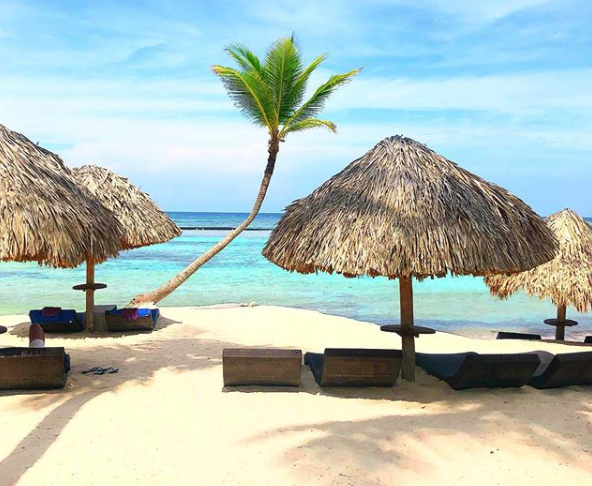 remolacha's tweet photo. Video - Punta Cana continúa entre los destinos más seguro del caribe, ver: https://t.co/q1sbW17G47 #TurismoDominicano https://t.co/mZwEMBEoxR